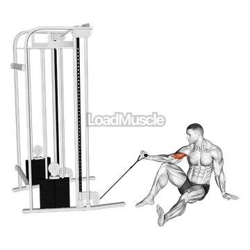 Cable Seated Floor One Arm Concentration Curl