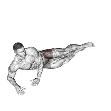 Side Lying Leg Circle