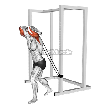 Band overhead triceps extension