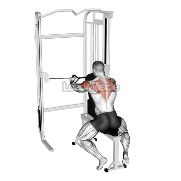 Cable Seated Rear Delt Fly with Chest Support