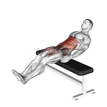 Seated Alternate Crunch