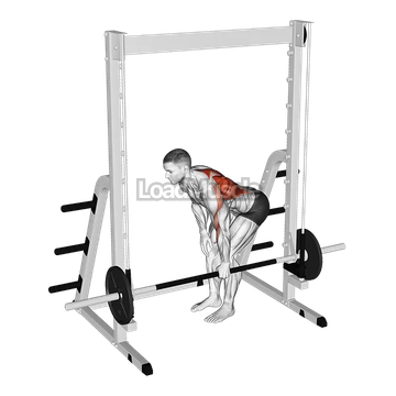 Smith Single Arm Bent Over Row