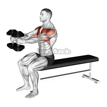 Dumbbell Seated Upright Alternate Squeeze Press