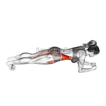 Side Step Front Plank