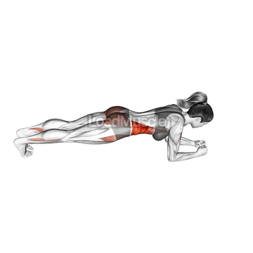 Forward Step Front Plank