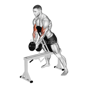 Dumbbell Single Spider Curl with Chest Support