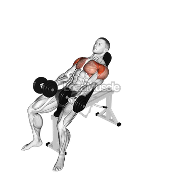 Dumbbell Incline Around the World