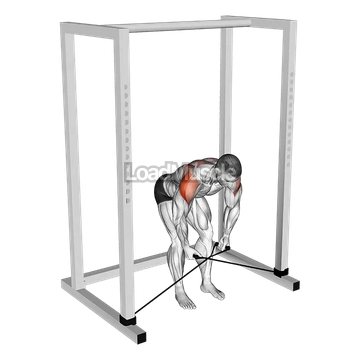 Band bent over rear lateral raise