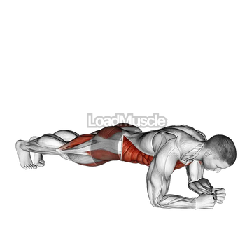 Leg Lift to Chest Front Plank