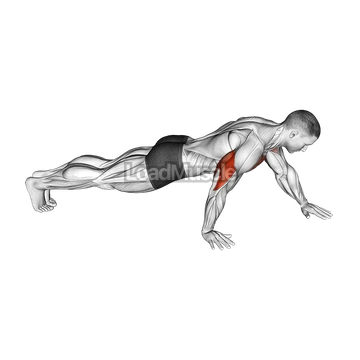 Push-up Hand by Hand