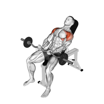 EZ bar Incline Front Raise