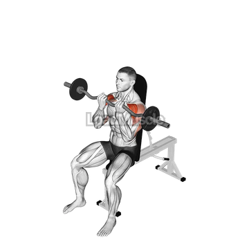 EZ bar Seated Close grip Shoulder Press