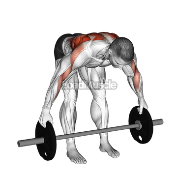 Barbell Bent Over Wide Row Plus