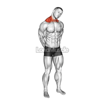 Neck Circle Stretch