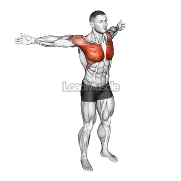 Back Slaps Wrap Arround Stretch