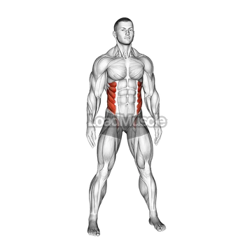 Standing Side Bend (bent arm)