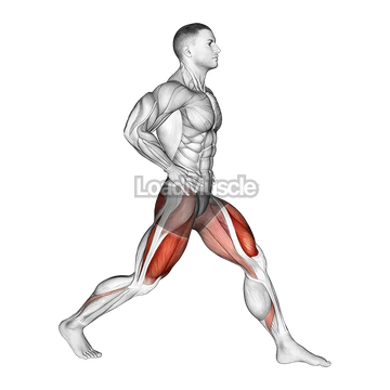 Static Lunge