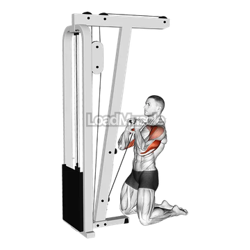 Cable Kneeling Shoulder Press