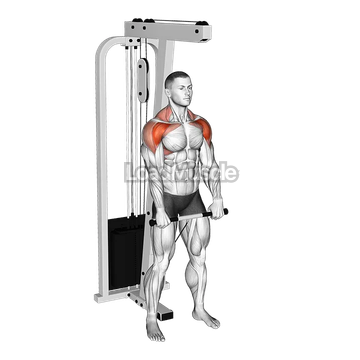 Cable Standing Front Raise Variation
