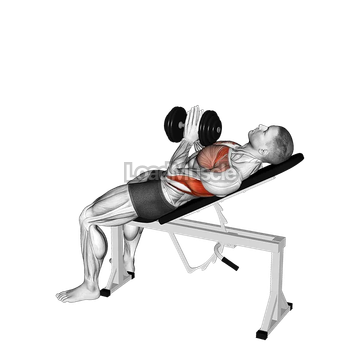 Dumbbell Incline Close grip Press Variation