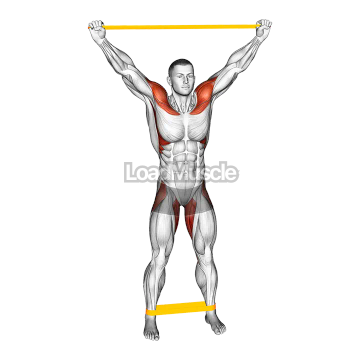 Resistance Band Standing Overhead Warming-up