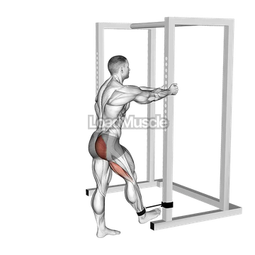 Band Standing Hip Extension