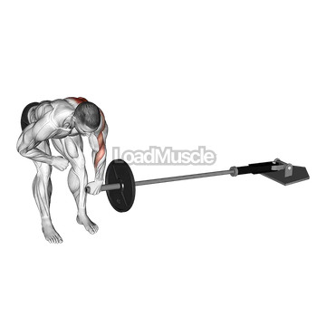 Landmine One Arm Bent Over Row