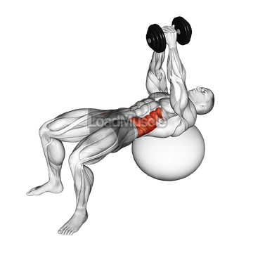 Dumbbell Russian Twist (on stability ball)