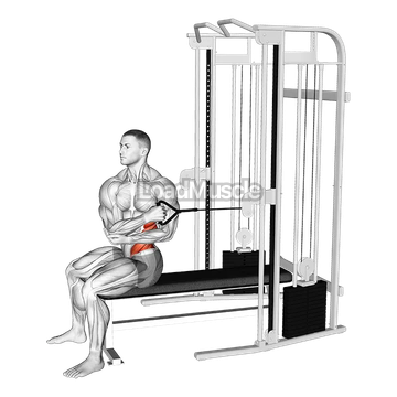 Cable Seated Cross Arm Twist