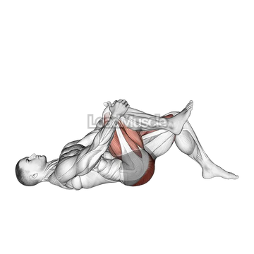 Single Leg Glute Bridge with Knee to Chest