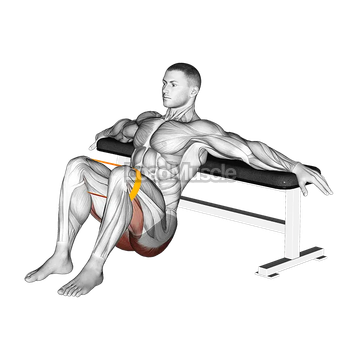 Resistance Band Hip Thrusts