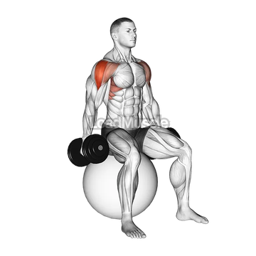 Dumbbell Seated Lateral Raise on Stability Ball
