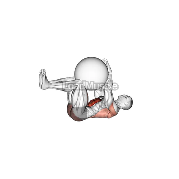 Dead Bug with Stability Ball