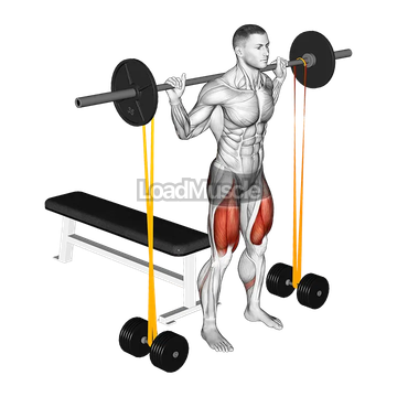 Barbell Banded Bench Squat