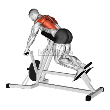 Lever Lying Banded T bar Row