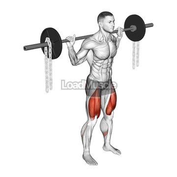 Barbell Squat with Chains