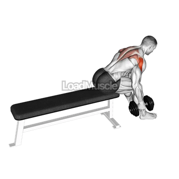 Dumbbell Seated Bent Over Alternate Rear Delt Fly