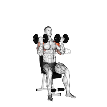 Dumbbell Alternate Arnold Press