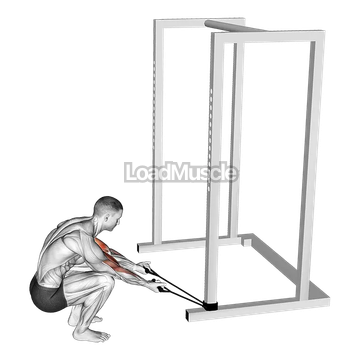 Band Kneeling Preacher Curl