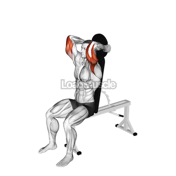 Weighted Seated Triceps Extension