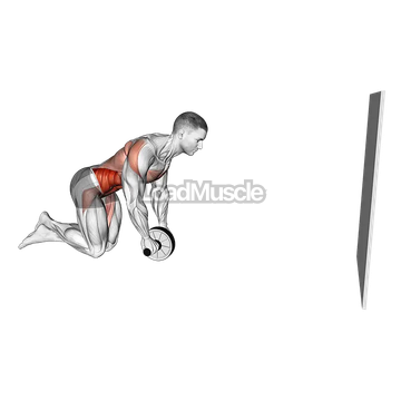 Wheel Rollout with Wall Support