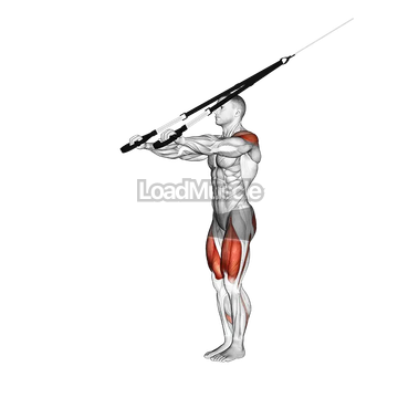 Suspender Forward Lunge with Rear Fly