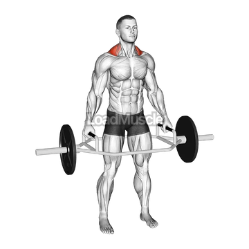 Trap Bar Standing Shrug