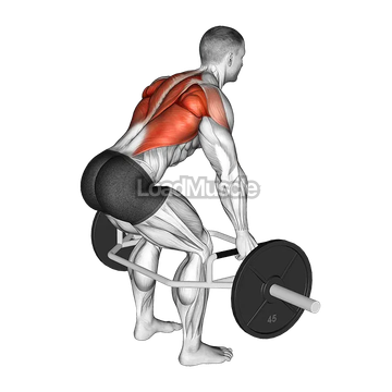 Trap Bar Bent Over Row