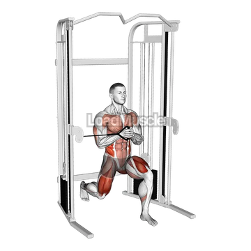 Cable Split Stance Horizontal Pallof Press