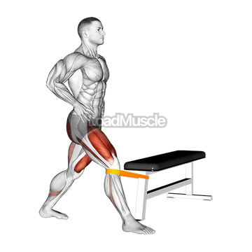 Resistance Band Adduction Split Squat
