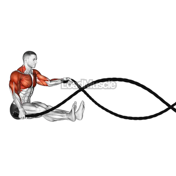 Battling Ropes Seated