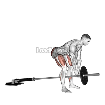 Landmine Romanian Deadlift