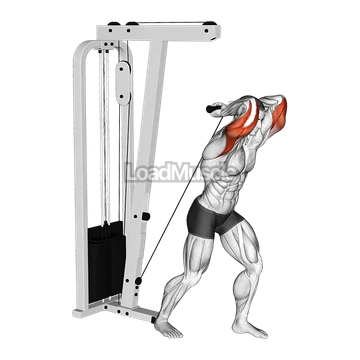 Cable Overhead Tricep Extension Straight Bar