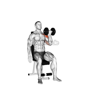 Dumbbell Seated One Arm Arnold Press